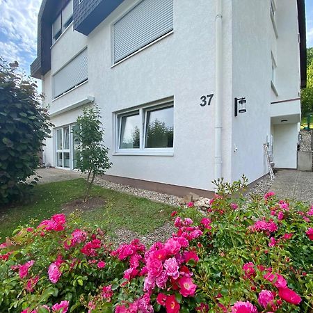 Neu: Ferienwohnung Zum Nussbaum - Landhausstil & Moseltalblick Traben-Trarbach Luaran gambar