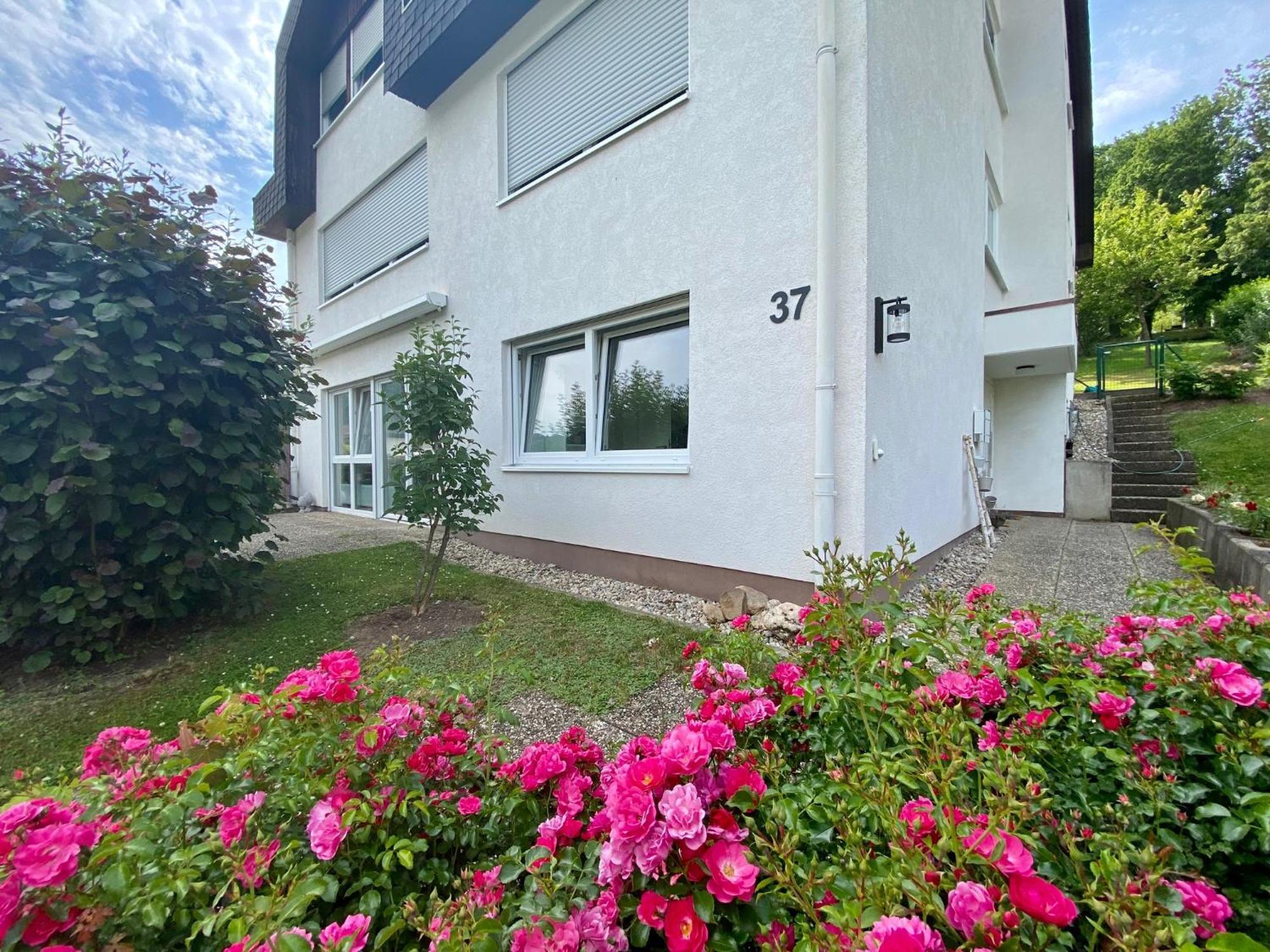 Neu: Ferienwohnung Zum Nussbaum - Landhausstil & Moseltalblick Traben-Trarbach Luaran gambar